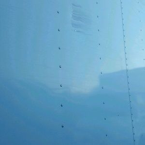 Meet your Posher, Tj